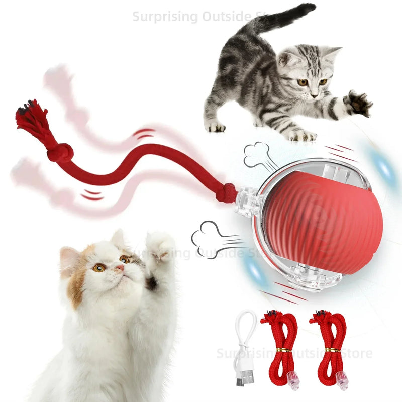 FelineBall, a bolinha de brinquedo interativo para gatos, ativada por sensor de movimento