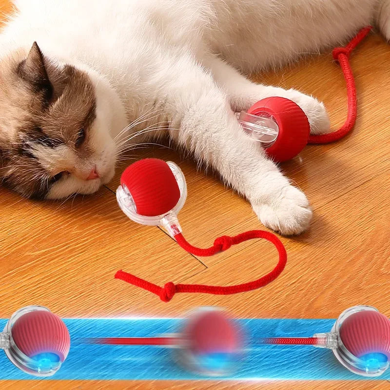 FelineBall, a bolinha de brinquedo interativo para gatos, ativada por sensor de movimento